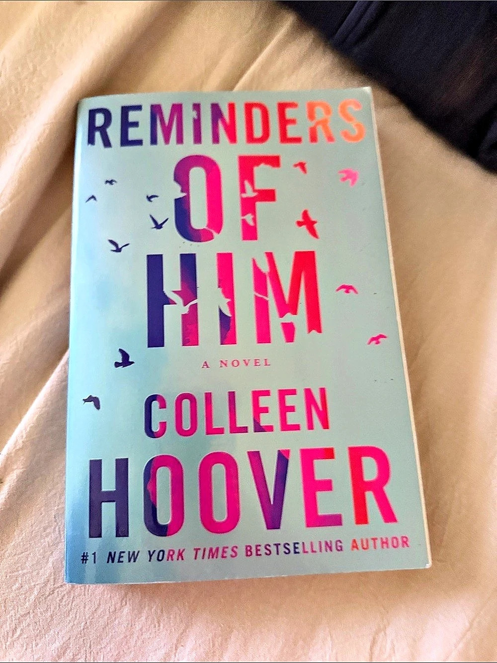 Reminders of Him by Colleen Hoover